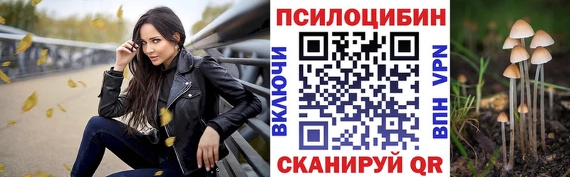 Галлюциногенные грибы прущие грибы  Камбарка 